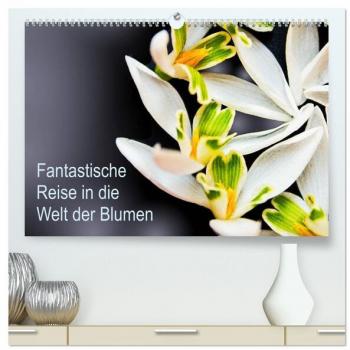 Fantastische Reise in die Welt der Blumen (hochwertiger Premium Wandkalender 2025 DIN A2 quer) Kunstdruck in Hochglanz