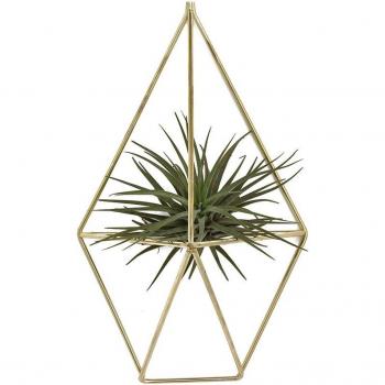 Himmeli Style Air Plant Display