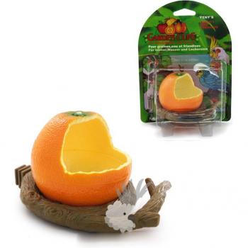 Creative Fruit Bird Feeder