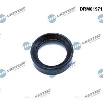 Dr. Motor Valve Cover Gasket