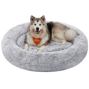 Rêve d'Argile pour Chien