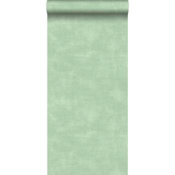 Béton Vert Intissé – Estahome, 053 x 1005 m