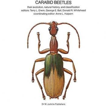 Carabid Beetles