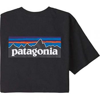 Patagonia P-6 Logo Organic Responsibili T-Shirt Black for Men