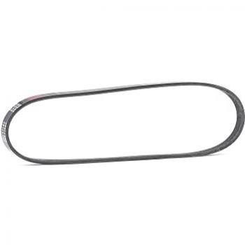 Cinghia Poly‑V Elastic per Limousine e Touring 305P0420