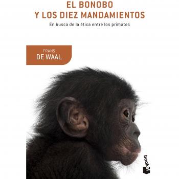 El bonobo y los diez mandamientos