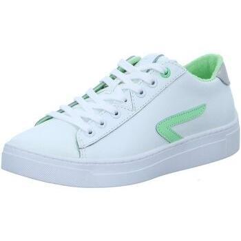 Hub Sneak White