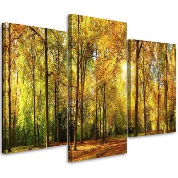 Arte Tela Autunnale: Albero Giallo 60x40