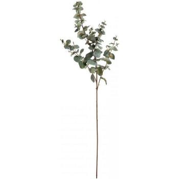 Hill Eucalipto Naturalmente Variegado