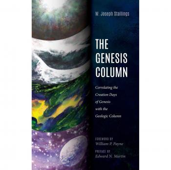 The Genesis Column