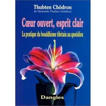 Coeur ouvert esprit clair : LA Pratique du bouddhisme tibetain au quotidien. (Grand Angle)