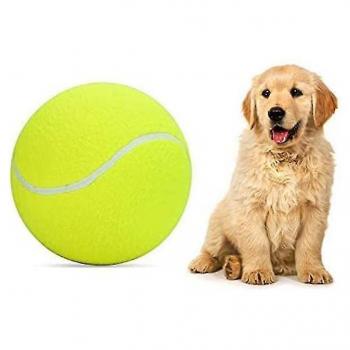 Pelota de Tenis Inflable para Perros 9