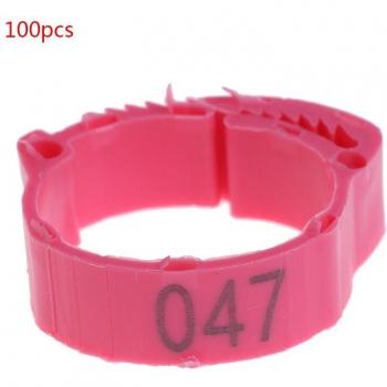 Anillo de tamaño variable para aves, 100 Uds., 6 colores, equipo de granja