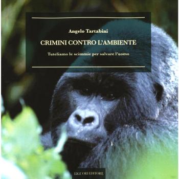Crimini contro l'ambiente. Tuteliamo le scimmie per salvare l'uomo