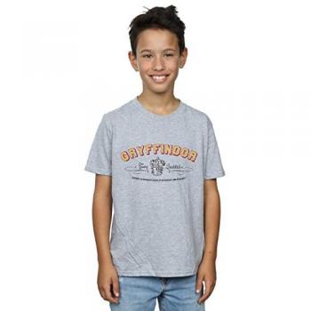 Champion’s Choice: Gryffindor Quidditch T‑Shirt