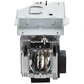 ViewSonic RLC 106 Ersatzlichtquelle für PRO9530HDL und PRO9800WUL