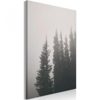Tableau décoratif châssis bois Odeur de brouillard forestier 80x120 cm
