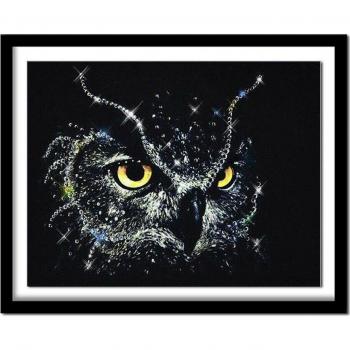 Pittura Diamante Gufo 5D Rotonda DIY 20x30CM