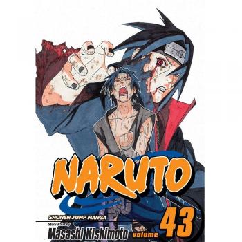 Naruto, Vol. 43: The Man with the Truth