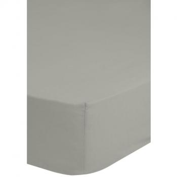SoftAngoli Lenzuolo No Stiro 180x220 cm Grigio Pallido