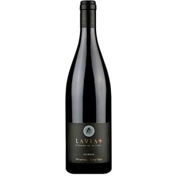 Lavia Tinto Gran Cosecha