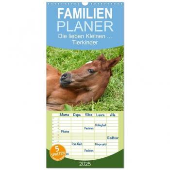 Familienplaner 2025
