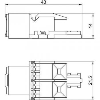 Cavo di rete CAT 5e OBO Bettermann 6117337