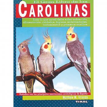 Carolinas