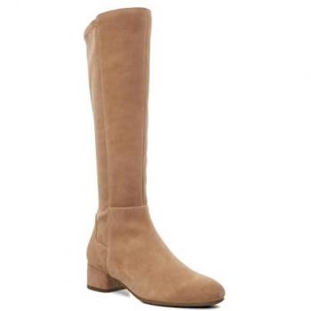 Dune London – Damen‑Stiefel, Tan, Standard Passform, Smart Stretch, High Leg