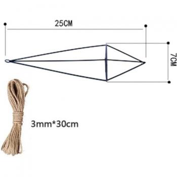 Wall-Mounted Air Plant Holder