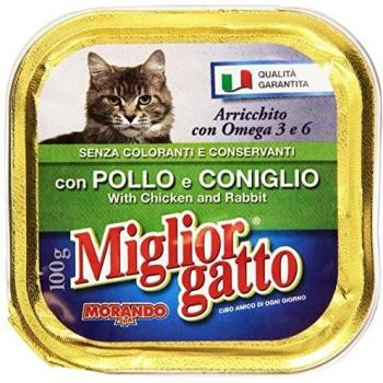 Miglior Gatto