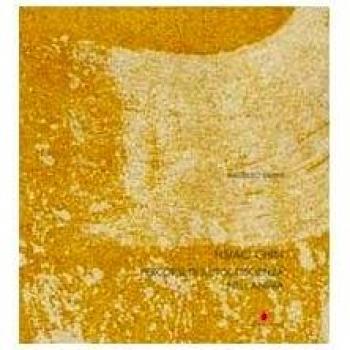 Hsiao Chin. Percorsi di autocoscienza nell'anima. Ediz. italiana e cinese