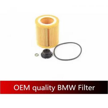 BMW N20 2.0L Oil Filter