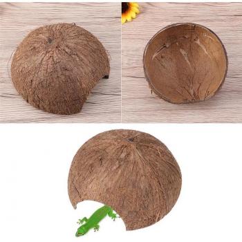 Reptile Shelter Coconut Shell Hut