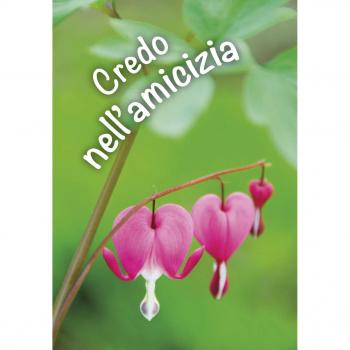 Credo nell'amicizia. Un pensiero per