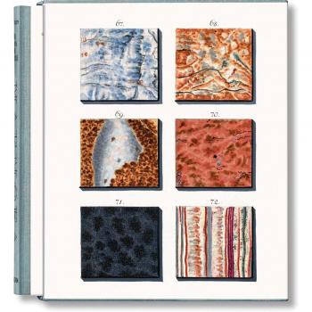 Jan Christiaan Sepp. The Book of Marble