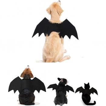 Cat Vampire Costume with Bat Wings