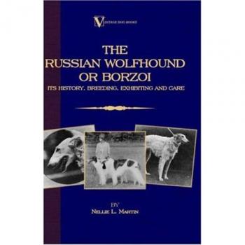 Borzoi