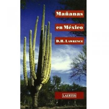 Mañanas en México (Tapa blanda con solapas).