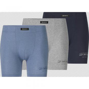 3er Pack Herren Retro-Unterhosen DOMETISSI Babista blau