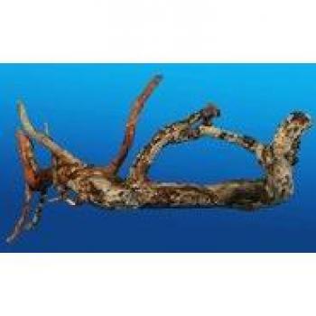 AMTRA Legno Moorwood CM.25-35