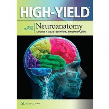 High-Yield(TM) Neuroanatomy (High-Yield Series)