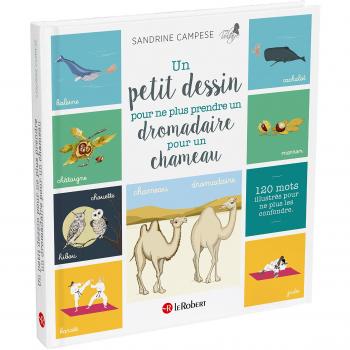 Un petit dessin pour ne plus prendre un dromadaire pour un chameau