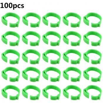 Pata de Granja de Aves con Hebilla Ajustable – Pack de 100