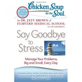 Chicken Soup for the Soul : Say Goodbye to Stress: Manage Your Problems, Big and Small, Every Day