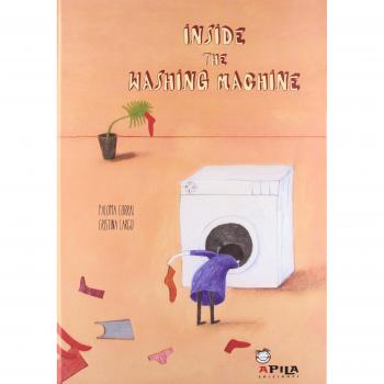 Inside the washing machine