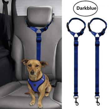 Arnés de Seguridad para Perros y Gatos