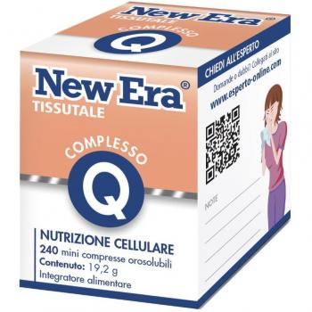 NEW ERA Q 240GR