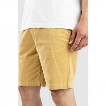 REELL Reflex Easy Shorts Kurz