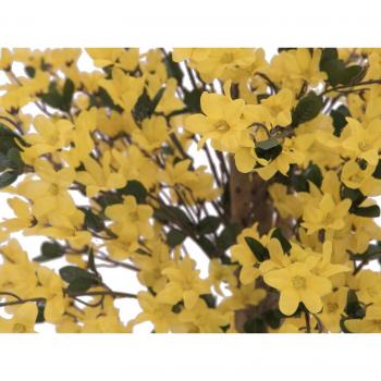Forsythia Artificiale con 4 Tronchi, Giallo, 150 cm